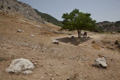 1313000420_372889_1313000613_noticia_normal