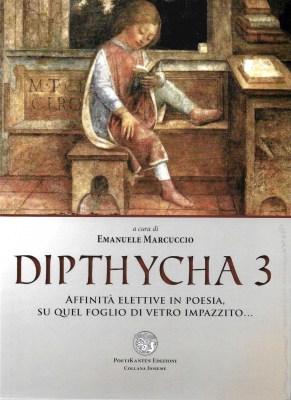 dipthycha-3_original-cover_front_900