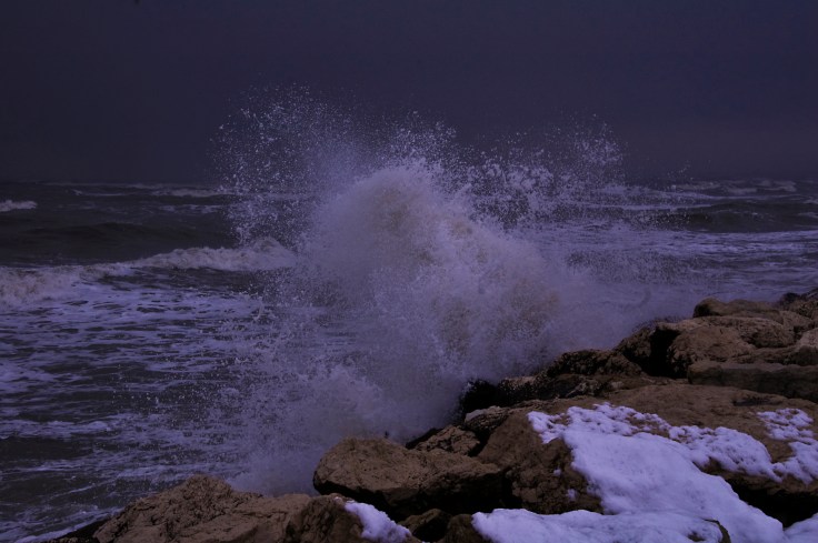 per_Il Mare, foto di Edoardo Pisani.jpg