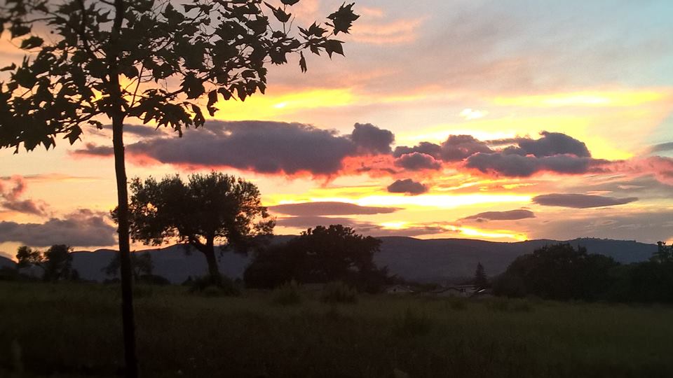 14390843_1809195769356541_7350612758266942154_n